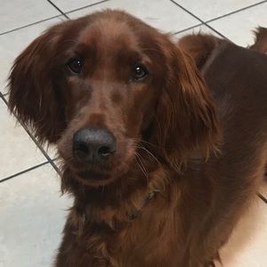 Meet your Posher, Sara